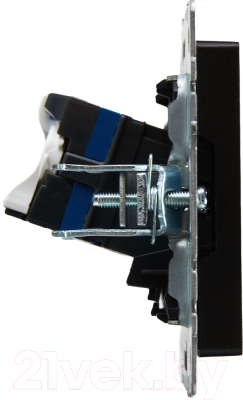 Розетка IEK Brite BR-K10-2-K02