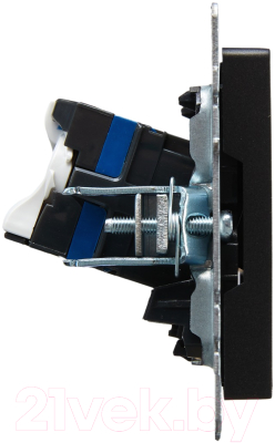 Розетка IEK Brite BR-K20-2-K02