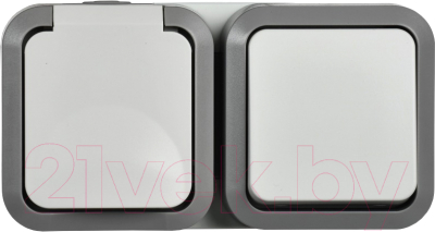 Блок выключатель+розетка IEK Tors TS-G10-6-55-V-K41 - фото