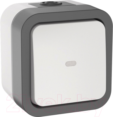 Выключатель IEK Tors TS-V10-1-10-55-K41 - фото