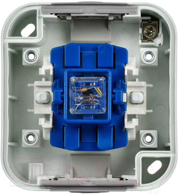 Выключатель IEK Tors TS-V10-1-10-55-K41