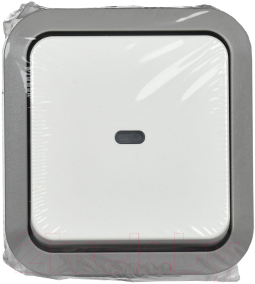 Выключатель IEK Tors TS-V10-1-10-55-K41