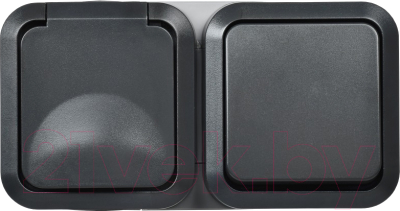 Блок выключатель+розетка IEK Tors TS-G10-6-55-V-K53 - фото