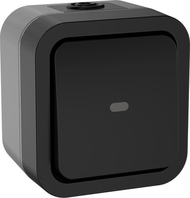 Выключатель IEK Tors TS-V10-1-10-55-K53 - фото