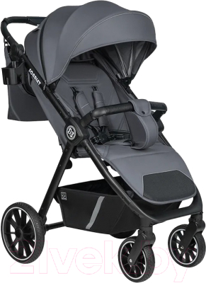 Детская прогулочная коляска Farfello Scarlet / HD-01 - фото