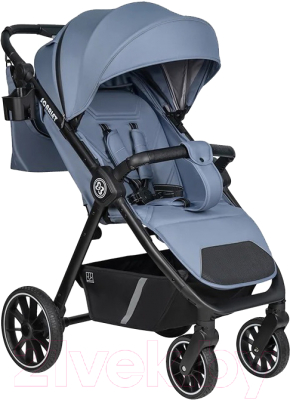 Детская прогулочная коляска Farfello Scarlet / HD-02 - фото