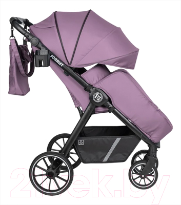 Детская прогулочная коляска Farfello Scarlet / HD-03