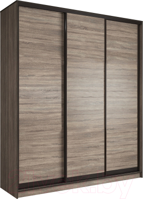 Шкаф-купе Евва 233 TTG.13 / АЭП ШК.3.01 - фото