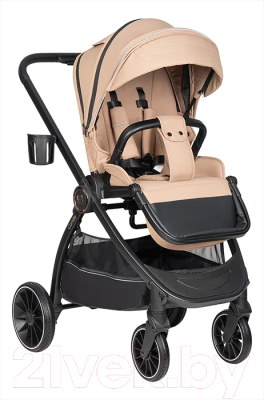 Детская универсальная коляска Farfello Camille 3 в 1 / BB-02