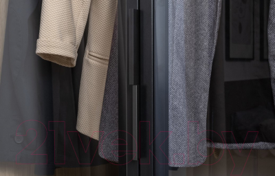 Шкаф с витриной Mobi Амьен 16.395