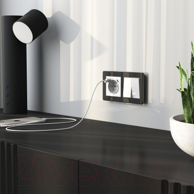 Выключатель Werkel W1122041