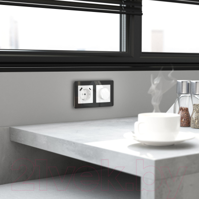 Диммер Werkel W1142041