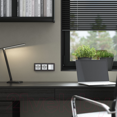 Розетка Werkel W1171141