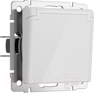 Розетка Werkel W1171241 - фото