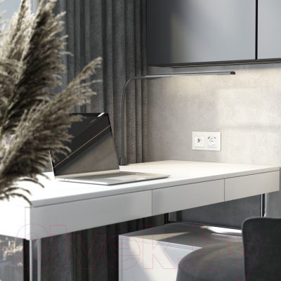 Розетка Werkel Ethernet RJ-45 / W1181041