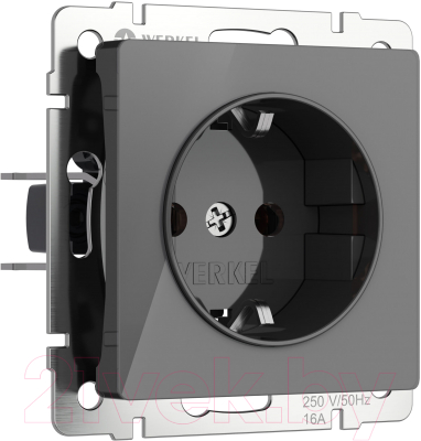 Розетка Werkel W1171044 - фото