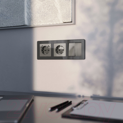 Розетка Werkel W1171044