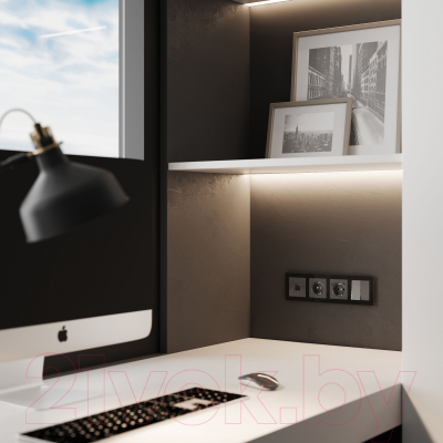 Розетка Werkel Ethernet RJ-45 / W1181044