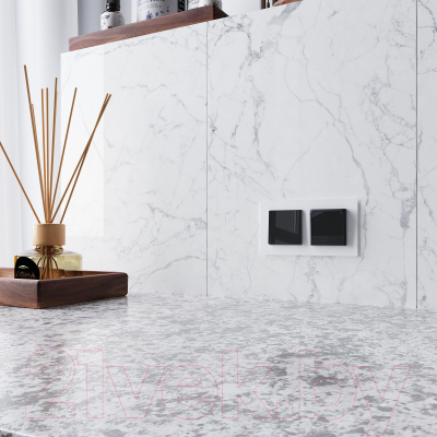 Розетка Werkel W1171248