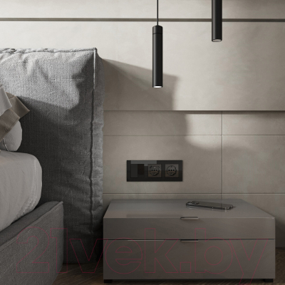 Розетка Werkel W1171748