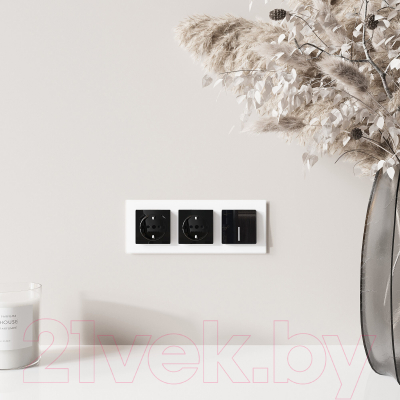 Розетка Werkel W1171748