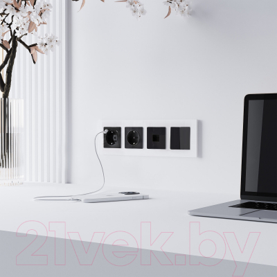 Розетка Werkel Ethernet RJ-45 / W1181048