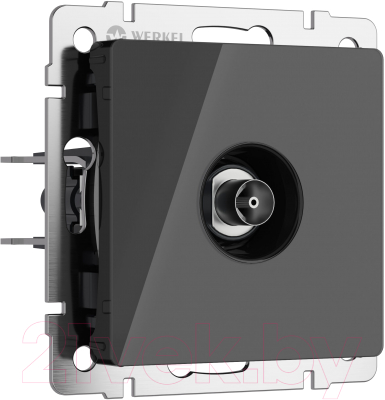 Розетка Werkel W1183048 - фото