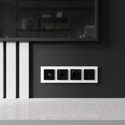 Розетка Werkel W1183048