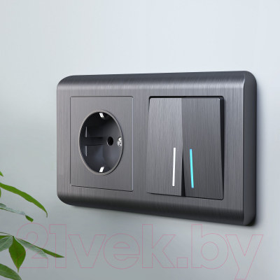 Выключатель Werkel W1122104