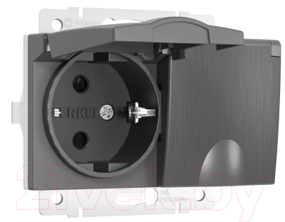 Розетка Werkel W1172204 - фото