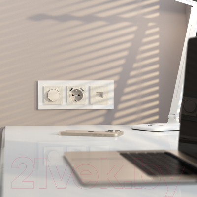 Розетка Werkel RJ-11 / W1182013