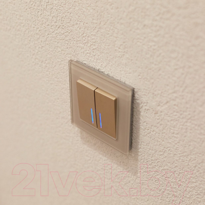 Выключатель Werkel W1122110