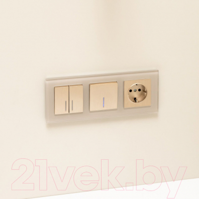 Выключатель Werkel W1122110