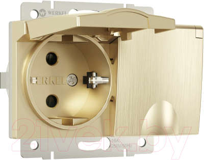 Розетка Werkel W1172210 - фото