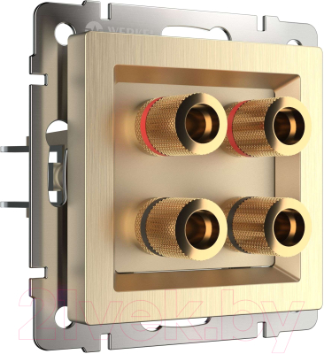 Розетка Werkel W1185010 - фото