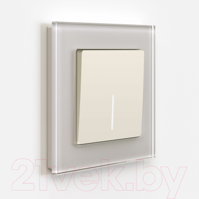 Выключатель Werkel W1110162