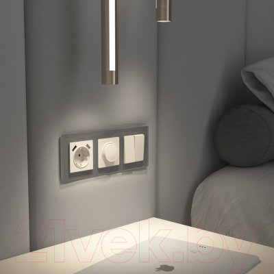 Диммер Werkel W1142062