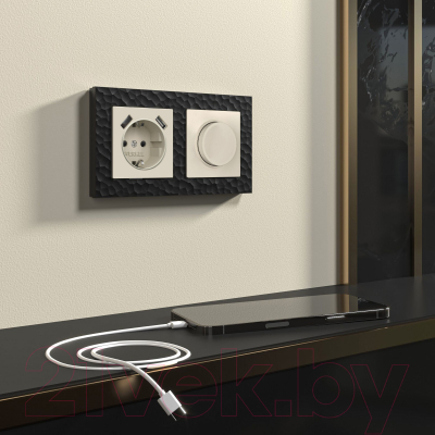 Диммер Werkel W1142062