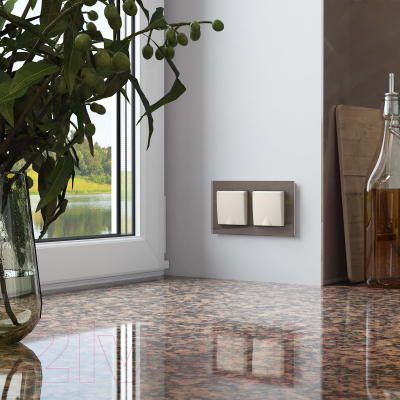 Розетка Werkel W1171262