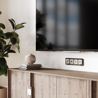 Розетка Werkel Ethernet RJ-45 / W1181062