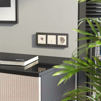 Розетка Werkel Ethernet RJ-45 / W1181062