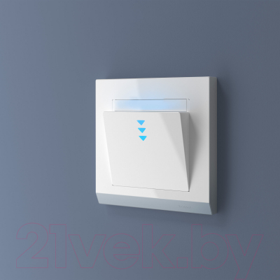 Выключатель Werkel W1153101