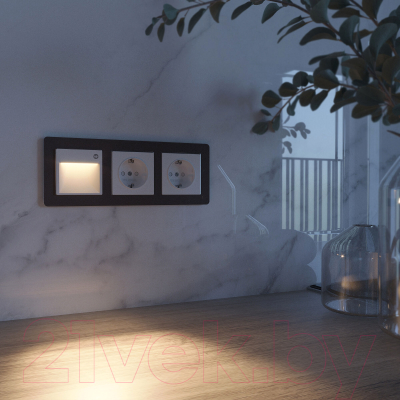 Встраиваемая подсветка Werkel W1154601