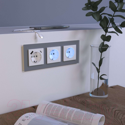 Розетка Werkel W1171701