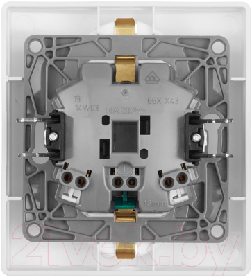 Розетка Legrand Inspiria 673755