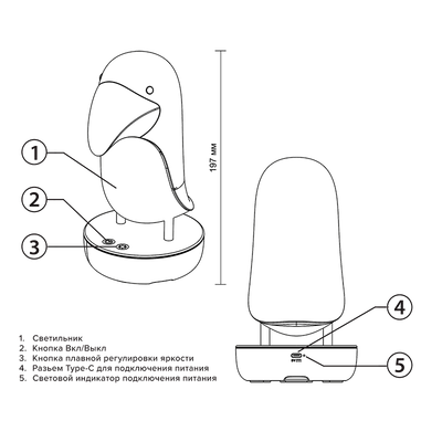 Ночник JAZZway Тукан 5048133