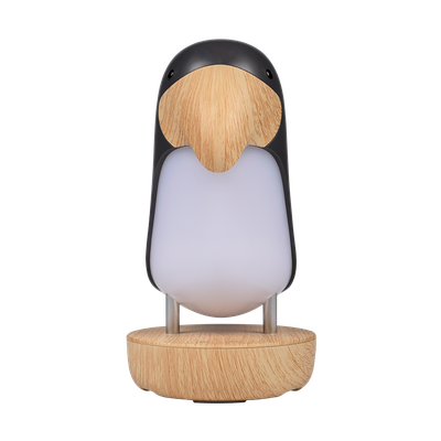 Ночник JAZZway Тукан 5048133