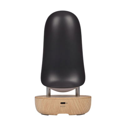 Ночник JAZZway Тукан 5048133