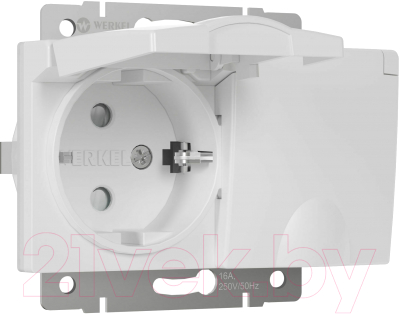 Розетка Werkel W1172201 - фото