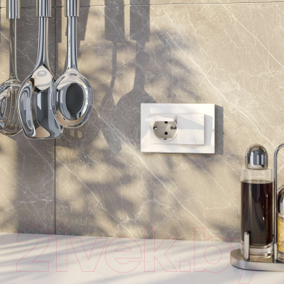 Розетка Werkel W1172201